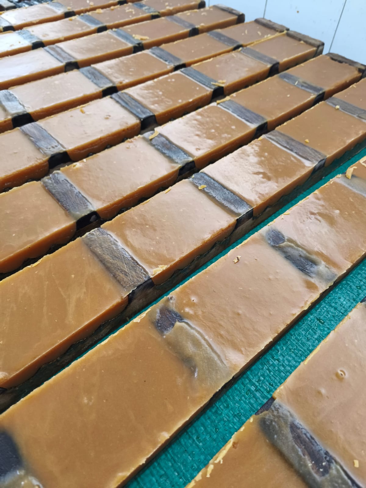 WhatsApp Image 2025-12-18 at 4.30.26 PM