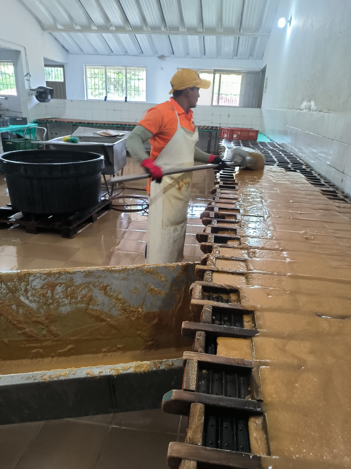 WhatsApp Image 2025-12-18 at 4.31.48 PM